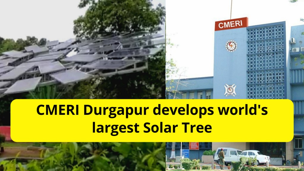 cmeri dgp world largest solar tree