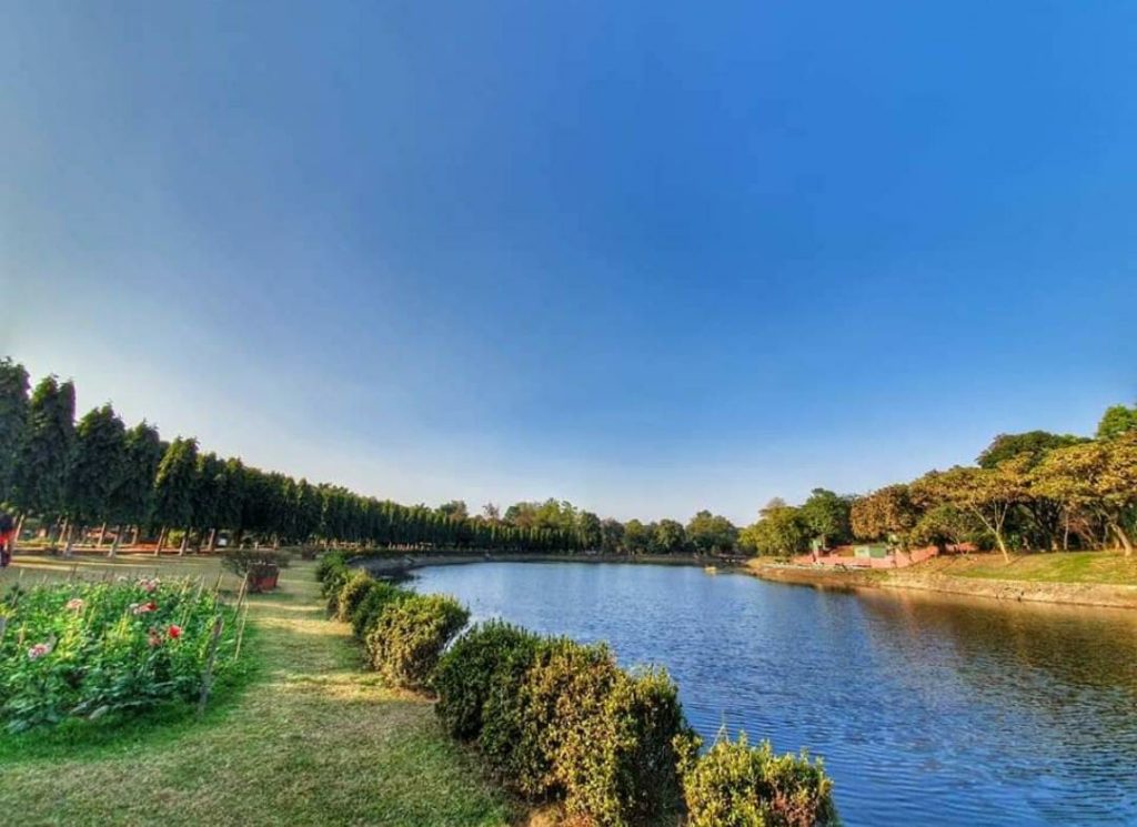 park with lake and trees