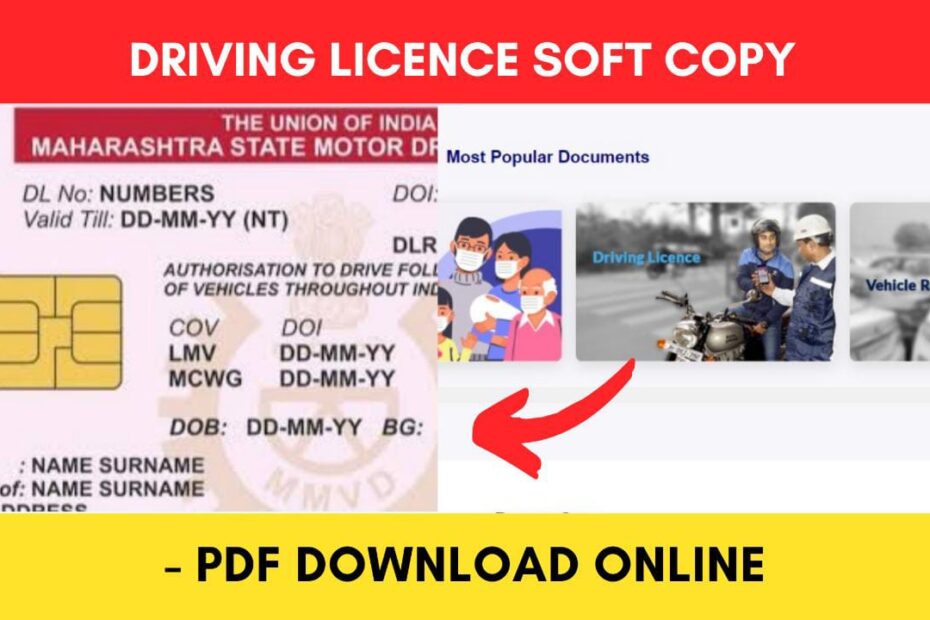 driving license pdf download