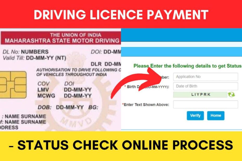 Driving licence payment status check