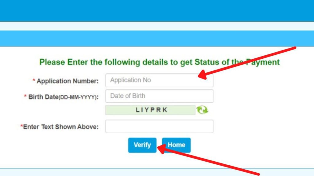 Payment Status Verification page