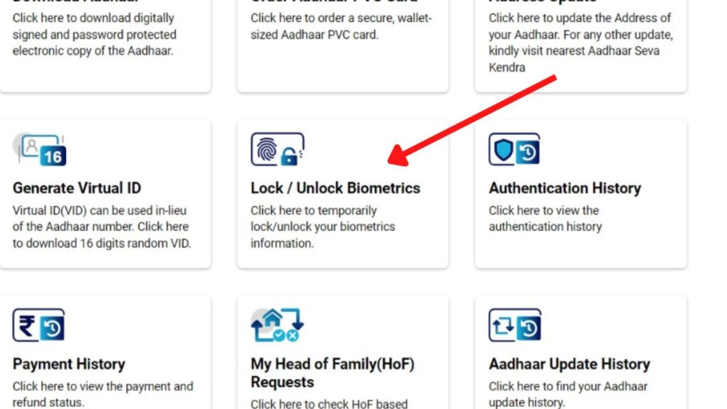 Lock Aadhaar biometrics button