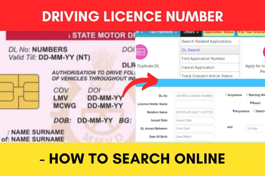 Driving Licence number search online process